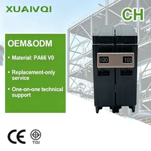 1/2 P 100 Amp OEM ODM AC MCB Short Circuit Protection Plug in Home Miniature Circuit Breakers 100A 6Ka Air 120V Low Voltage MCB
