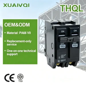 100A 2p Black Electronic Miniature Circuit Breaker THQL Plug in Type Miniature Circuit Breaker Plug in MCB