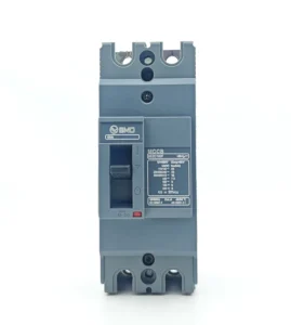 100F 10ka Breaking Moulded Case Circuit Breaker 2P100A MCCB AC690V Thermal Magnetic Trip Unit Fixed Installation