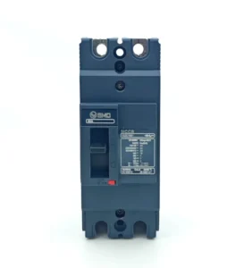100H 2P100A Moulded Case Circuit Breaker AC690V 18kA Thermal Magnetic 50/60Hz Copper Metal Plastic