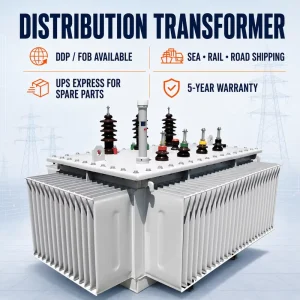11kV 1000kVA Oil Immersed Transformer for Power Distribution