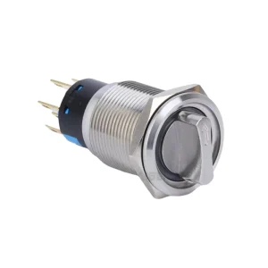 19mm Ring Buzzer IP65 Protection Grade Stainless Steel DC12V 24V AC Continuous Flash Buzzer with Pin Terminal