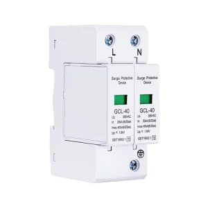 1pcs 220V 2P 40KA House Surge Protective Low Voltage Arrester Device Lightning Protection Surge Protective Device
