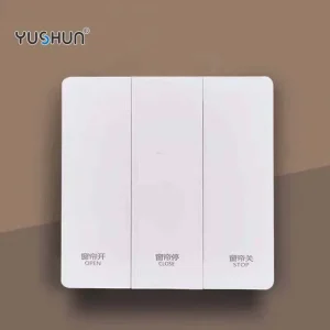 2 In 1 Remote Control Switches Enhancing Accessibility with Innovative Features