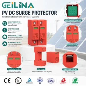 2-Pole 2P 40KA Double Phase Lightning Arrester 20kA~40kA 1000V Surge PV Surge Devices