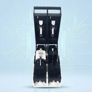 2 Pole Fuse Disconnect Switch DIN Rail Fuse Isolator Industrial Fuse Disconnecting Switch for Power Distribution Safety