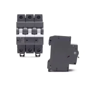 2-Pole PL9X 6kA Miniature Circuit Breaker (MCB) Surface-Mounted ABS Material Household Use 220V Overload Short Circuit