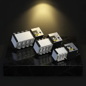 250A Dual Power Conversion Switch HGLD Low Voltage Conversion Switch Multi Functional Manual Conversion Switch