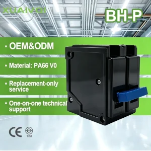 2P 120 110V AC Miniature Circuit Breaker 6kA Plug in MCB for Home Overload Short Circuit Protection