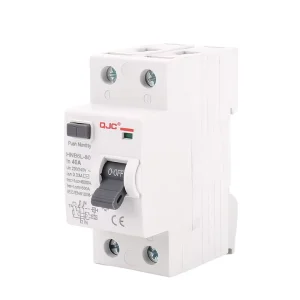 2pole Electromagnetic RCCB ELCB RCD 6A 16A 20A 32A 40A 50A 63A 80A 100A 125A Magnetic Leakage Current Circuit Breakers RCCB