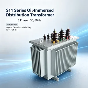 300 to 1000 KVA 10 11 33 Kv 240 400 415 V Step Down 3 Phase S11 Series 200kVA 630kVA Oil Immersed Distribution Transformer