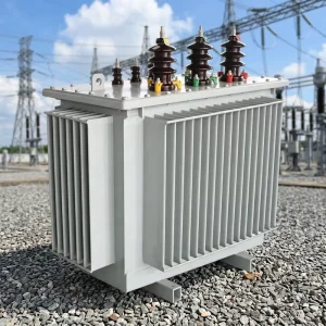 300 to 1000 KVA 3kV 10 11 33 kV 400 415 V Three Phase S11 Series 50Hz Oil Immersed Distribution Transformer