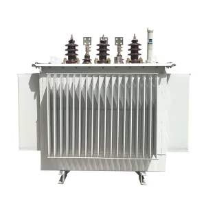 50Hz 60Hz 10kV 380V Three Phase Oil Immersed Distribution Transformer Dual Winding Coil Copper Aluminum Winding Low Loss Power