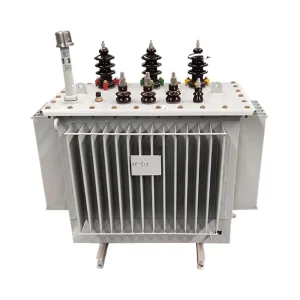 6kV 10kV 11kV 400V Oil Immersed Distribution Transformer 50Hz 60Hz ONAN Sealed Silicon Steel Core Three Phase Power Transformer