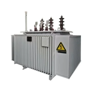 75% Reduced No load Loss Oil Immersed High Efficiency S22 10kV 380V Three Phase Dual Winding Coil Distribution Transformer Power