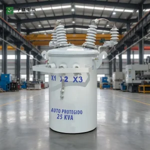 75kVA 35kV 415V ANSI Approved Pure Copper Low Noise Heavy Duty Industrial Park Power Distribution Pole Mounted Transformer
