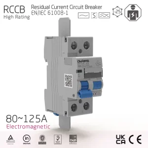 80 125A 2P High Rating Copper Household Electromagnetic Type RCCB 30 100 300 500mA IEC EN61008 Residual Current Circuit Breaker