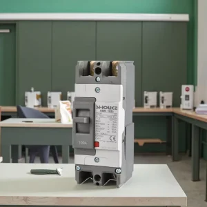 ABN 100A 2P MCCB Molded Case Circuit Breaker 100AMP Single Phase