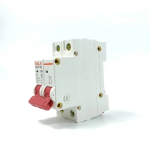 AC 220V 2 Pole Miniature Circuit Breaker C Curve Din Rail Mounted MCB