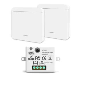AC85-265V Single Channel Wireless Remote Control Switch with Delay Timer Relay for LED Lights Car Modification Access Control