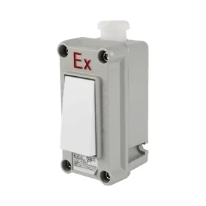 ATEX Wall Light Switch Explosion-proof and Anti-corrosion Wall Switch Wall Touch Switch