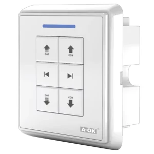 Ac228-01 Smart Home Wireless Remote Control Double Route Wall Type Crystal Radio Receiver Remote Switches
