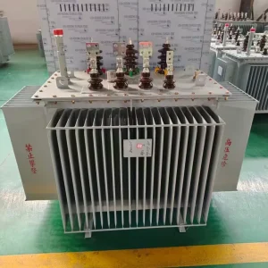 Anti Curing Low Line Loss Three Phase Oil Filled Transformer Energy Saving Oil Immersed Power Transformer Power Station Coil