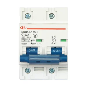 BKB55-125H Factory IEC CCC Certified AC 230/400V Miniature Circuit Breaker 125A 63A High Breaking Capacity 10000A