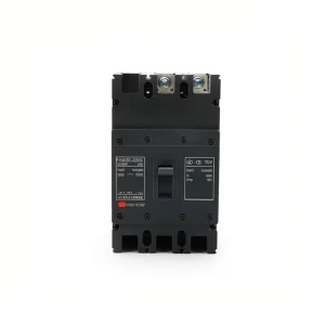 Black Molded Case Circuit Breaker FKM2DC Low-voltage Molded Case Circuit Breaker 50-800A Molded Case Circuit Breaker