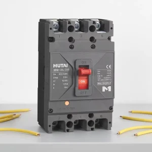 China Double Pole 3 Phase Circuit Breaker 100 Amp Breaker for Industrial Application