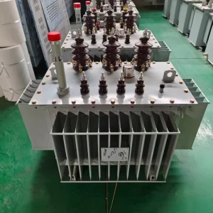 Copper Energy Saving High Insulation Three Phase Dual-Winding Coil Oil Cooled Distribution Transformer Anti Curing