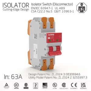 Copper Isolator Switch CXI29 63 2P 80A 480V Disconnector IEC EN60947 for CAS 36mm Din35 10KA