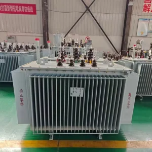 Custom Design 10kV Three Phase Oil Immersed Aluminum Distribution Power Transformer S13 High Efficiency Substation Use