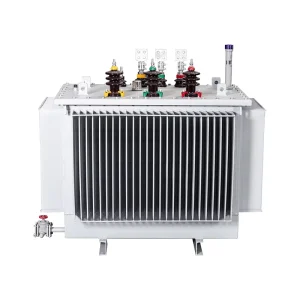 Custom Kva Voltage 400 KVA 1600kVA 10kV 20kV Low Loss Three Phase Oil Immersed Transformer