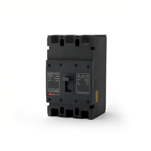 Customizable Circuit Breaker FKM2DC Multifunctional Molded Case Circuit Breaker 2 3p Low Voltage Molded Case Circuit Breaker
