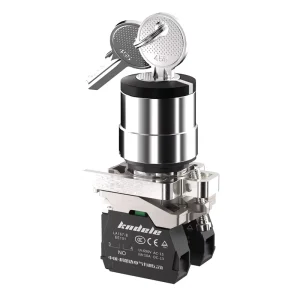 Customized Rotary Switch XB4 BG25 BG33 with Key Button Switch 380V