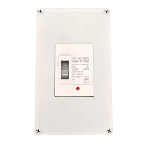 DC MCCB Box Outdoor Waterproof 250A 2P Plastic Safety Molded Case Circuit Breaker Solar Distribution Thermal Magnetic 20kA
