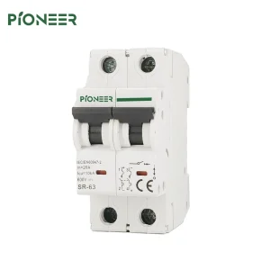 DC Miniature Circuit Breaker 2-Pole PA66 Li 6/10/16/20/25/32/40/50/63A 600V CE Certified 10KA Breaking Capacity Rail Mounting