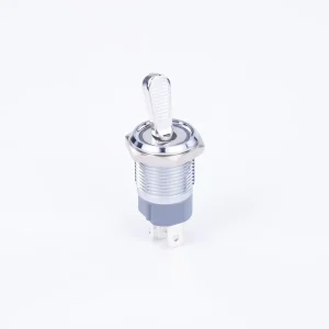 DPDT 16mm 2 Positions 10A Lever Type Self locking Metal Toggle Switch with Light