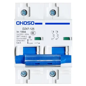 DZ47 125 Miniature Circuit Breaker (MCCB) 1P-4P Pole 80A-125A 6kA Breaking Capacity Thermal-Magnetic Trip Unit Plastic
