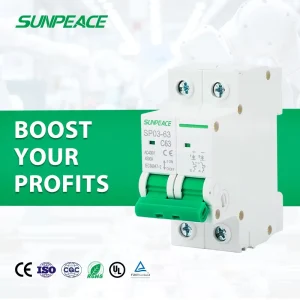 DZ47 1P 2P 3P 4P DC MCB 10A 16A 20A 25A 32A 40A 50A 63A 80A 100A 125A 6KA 10KA 500V 1000V PV Solar Miniature Circuit Breaker