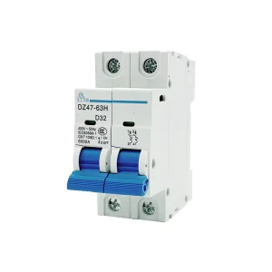 DZ47-63H Miniature Circuit Breaker 2P 63A Rated Current PA66 Copper Rail Mounting 6kA Breaking Capacity 400V LI Protection