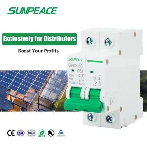 DZ47 Miniature Circuit Breaker 1P 2P 3P 4P DC MCB 10A-63A/500V-1000V PV Solar 5000A LI Protection Made of Copper