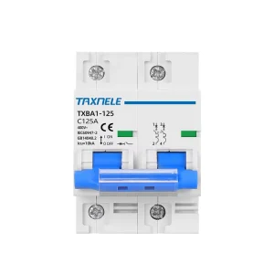 DZ47 NC 400V 2P 80A 100A 125A 10KA C Type Mini Circuit Breaker Ac MCB Short Overload Circuit Protector 35mm Din Rail Mount