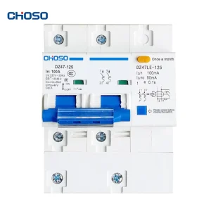 DZ47LE 125 2P Industrial Household 2P Air Circuit Breakers Residual Current Protective Devices 6kA Breaking Capacity