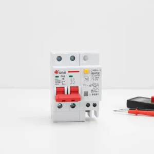 DZ47LE 63 2P C63A Small Residual Current Circuit Breaker Rail Type Circuit Breaker Low Voltage Circuit Breaker