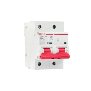 DZ47N-125 2P D Curve Miniature Circuit Breaker 63-125A 230V AC 10kA Breaking Capacity DIN Rail Air Switch MCB