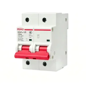 DZ47N-125 2P Miniature Circuit Breaker 63-125A 230V AC 10kA Breaking Capacity DIN Rail Air Switch MCB