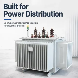 Data Center Transformer Low Loss Reliable Three Phase Silicon Steel Laminated Core Oil Immersed Custom Kva Voltage