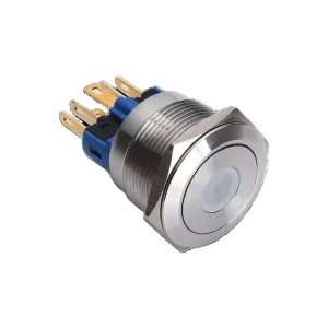 Dot illuminated Metal push button switch GQ22-11D/R/12V/S